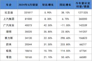 半岛电子公司